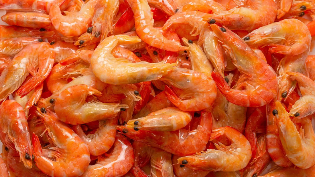 Metabolism in balance – with three small but crucial minerals